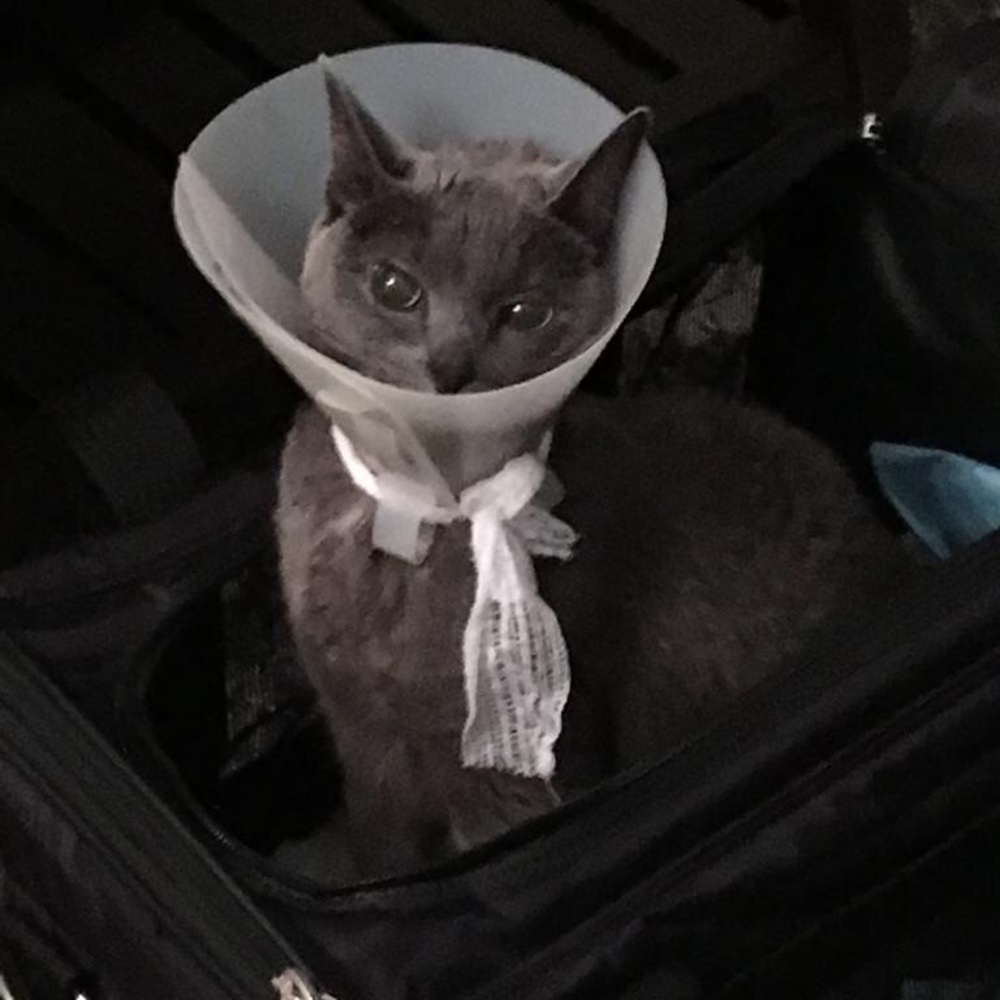 Meet your Posher, Sabrina